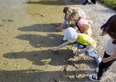 Festivals der Natur: Kinder beobachten Kaulquappen in einem Teich.